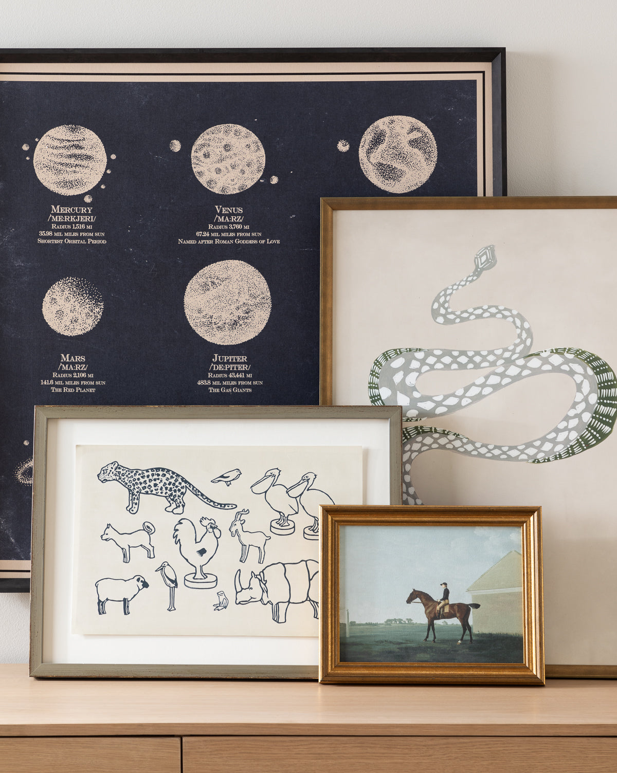 Four framed art prints are displayed on a wooden surface: an astronomy chart, snake illustration, animal sketches, and The Little Jockey horse art with rider—perfect for adding realism wall art to your childrens room decor.