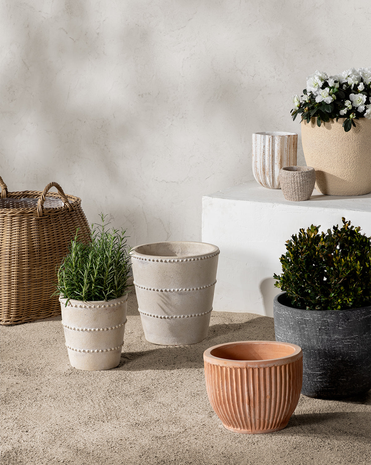 The Halston Cement Planter, filled with green plants and white flowers, is displayed on a sandy surface next to a wicker basket and a white platform against a light, textured wall.