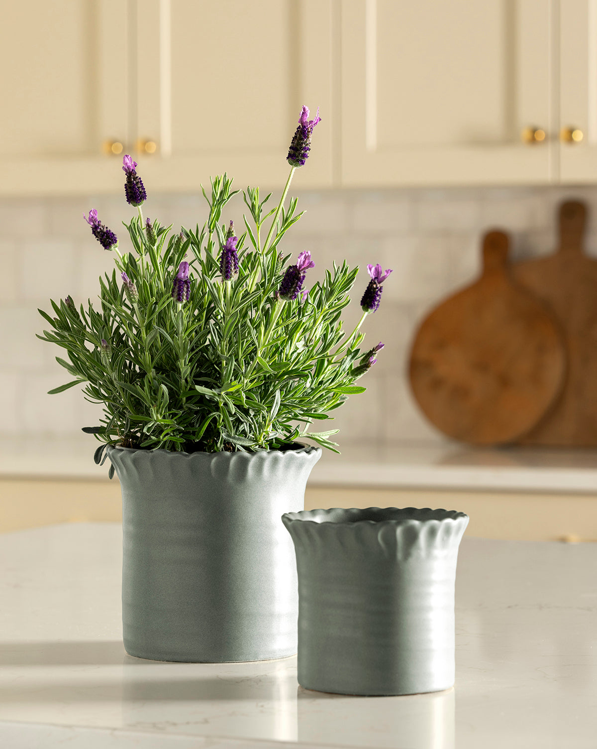 A blooming lavender plant in a Blythe Pot by Napa Home & Garden sits on a kitchen counter beside a matching empty pot, with blurred wooden cutting boards and cream cabinets in the background, McGee & Co.