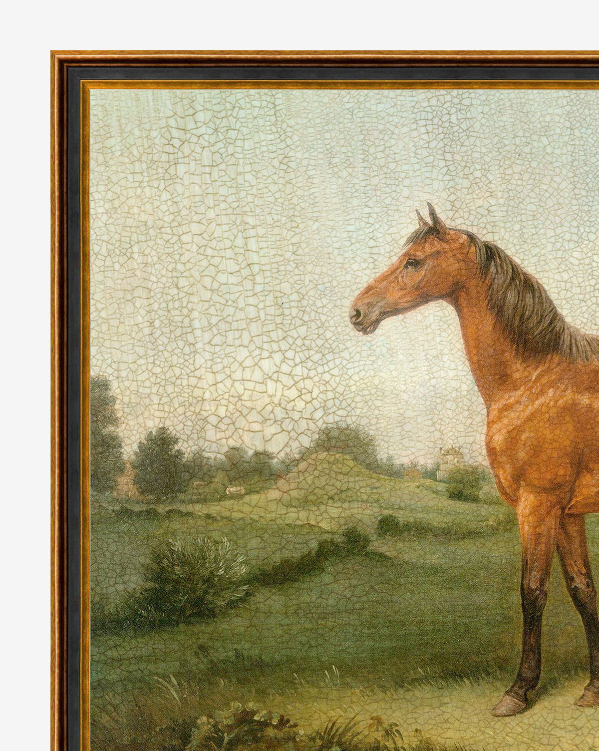 Brown Horse: A classic wall art piece featuring a brown horse in a green field with distant trees beneath a pale sky. This aged painting has visible crackling and comes framed with dark brown and gold-edged details.