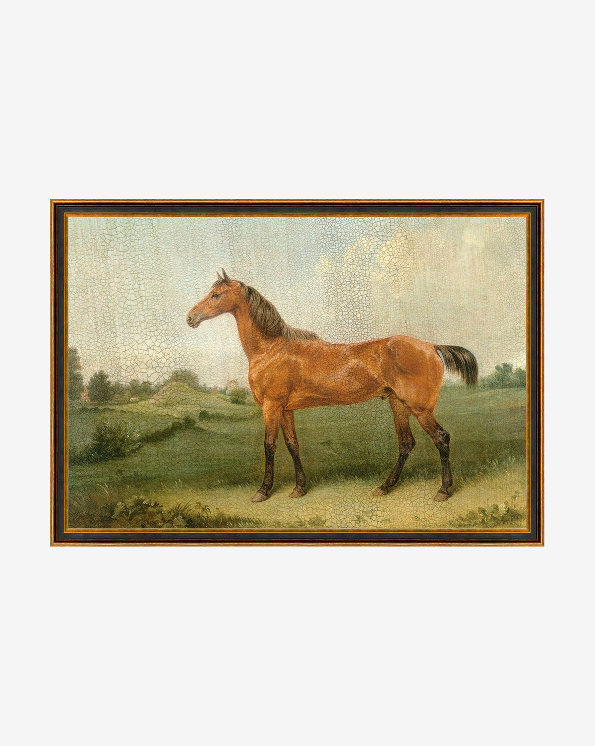 Brown Horse is an elegant wall art piece featuring a brown horse standing on green grass in an open landscape with trees and a partly cloudy sky, beautifully framed in a simple dark and gold frame.