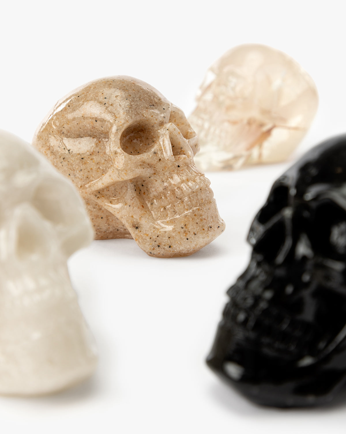 Assorted Resin Skulls (Boxed Set of 4)