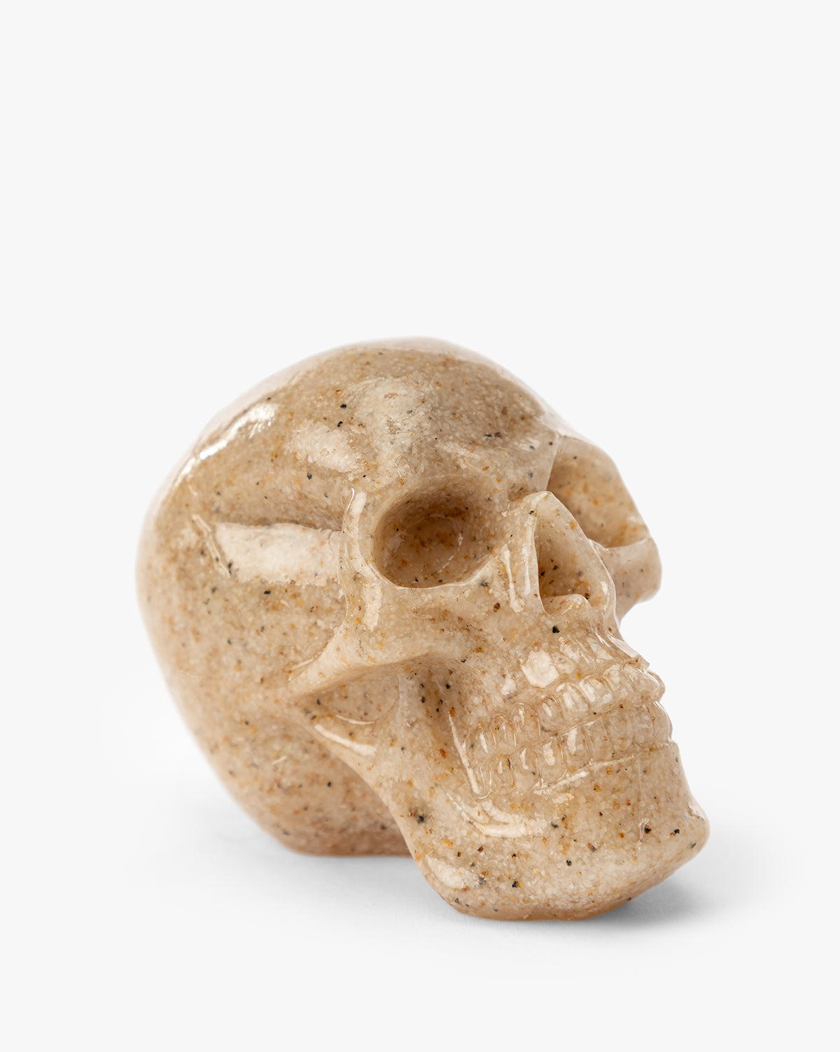 Assorted Resin Skulls (Boxed Set of 4)