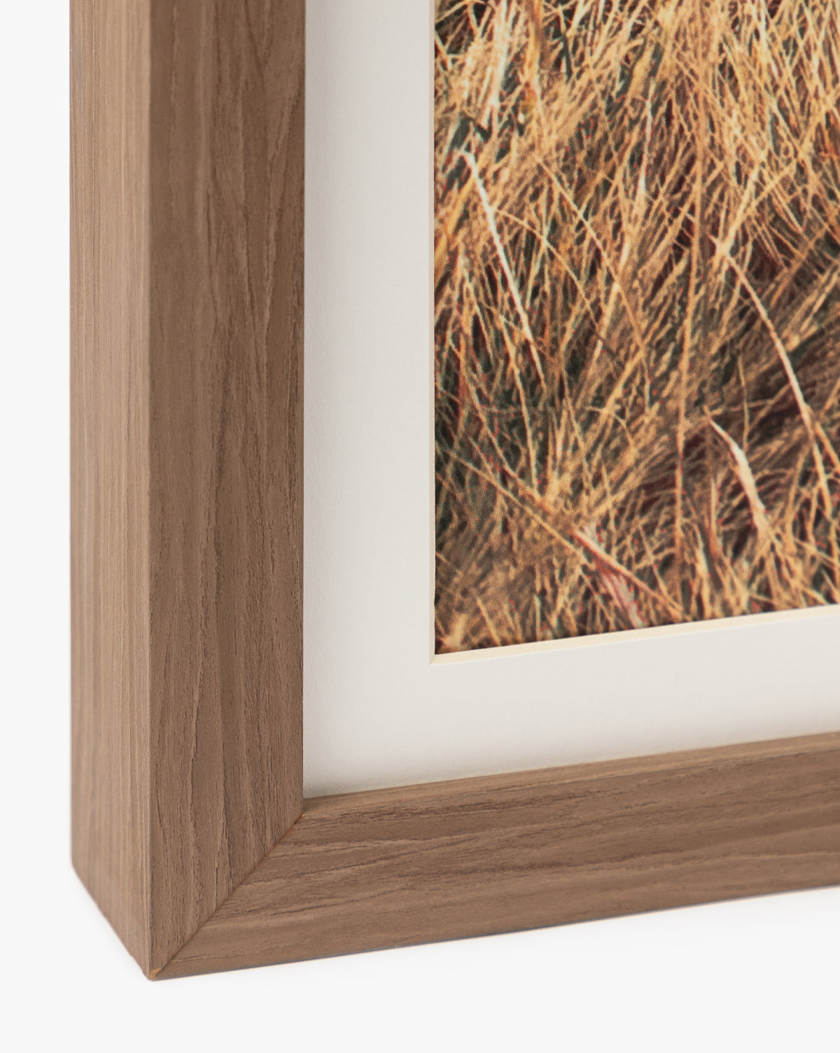 Close-up of a walnut wood frame corner, displaying the edge of the Autumn Marshes giclee print with dry grass detail and a white mat board inside by McGee & Co.
