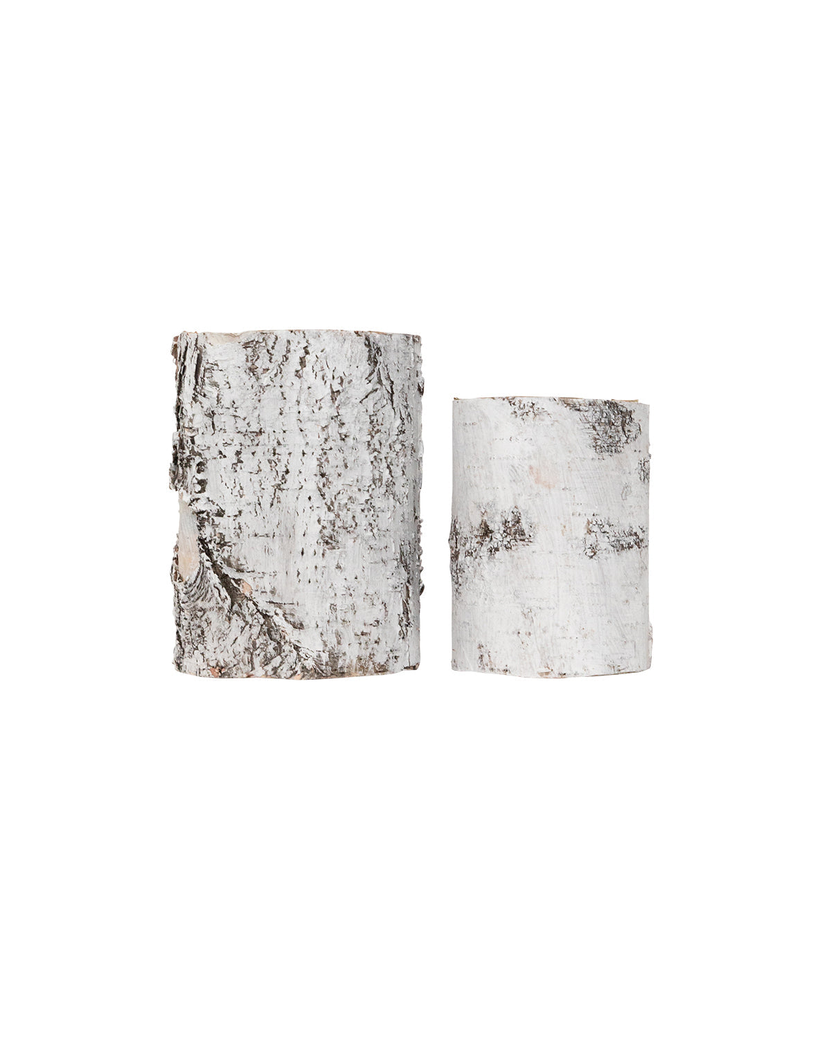 Birch Cylinder w/ Liner