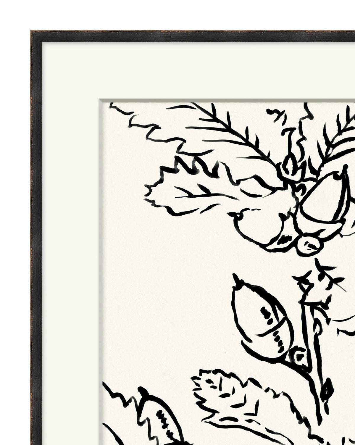 Black and White Botanical 3