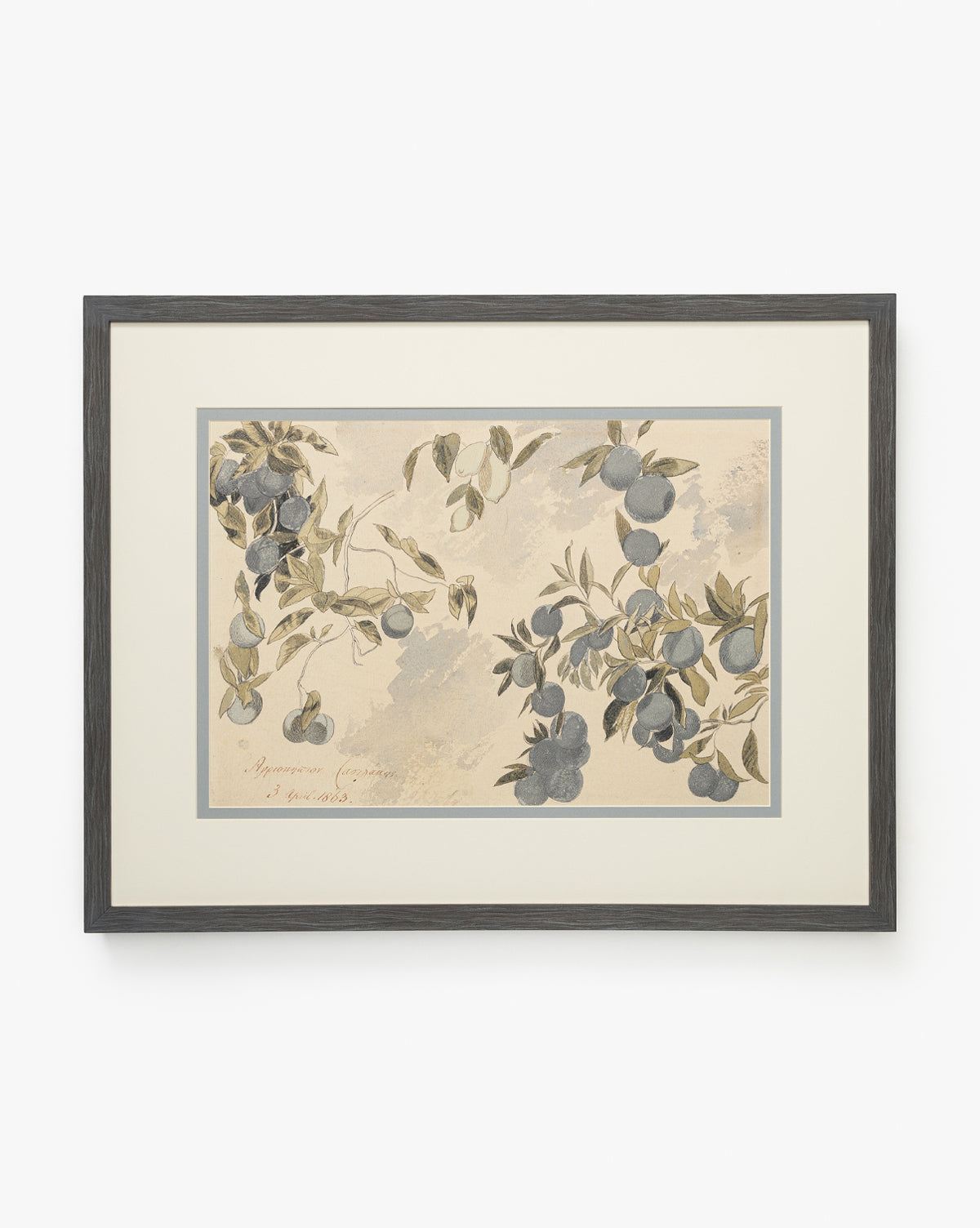 Blue Fruits: Framed botanical art of a branch with clustered blue fruits and soft green leaves, painted in vintage style on beige, bordered by a slim gray mat and charcoal woodgrain frame, by McGee & Co.