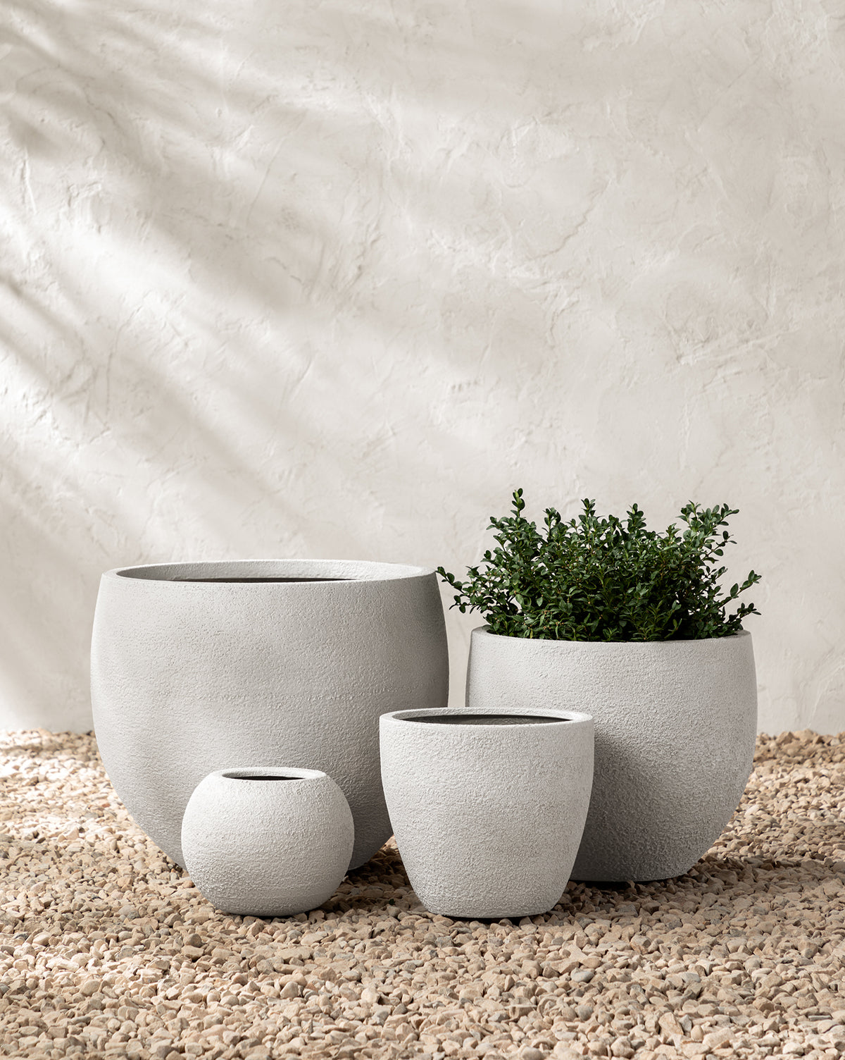 Four light gray Bodie Fiberstone Planters with a round, textured design rest on small pebbles. One planter holds a small green plant; the others are empty. The backdrop is a light, textured wall.