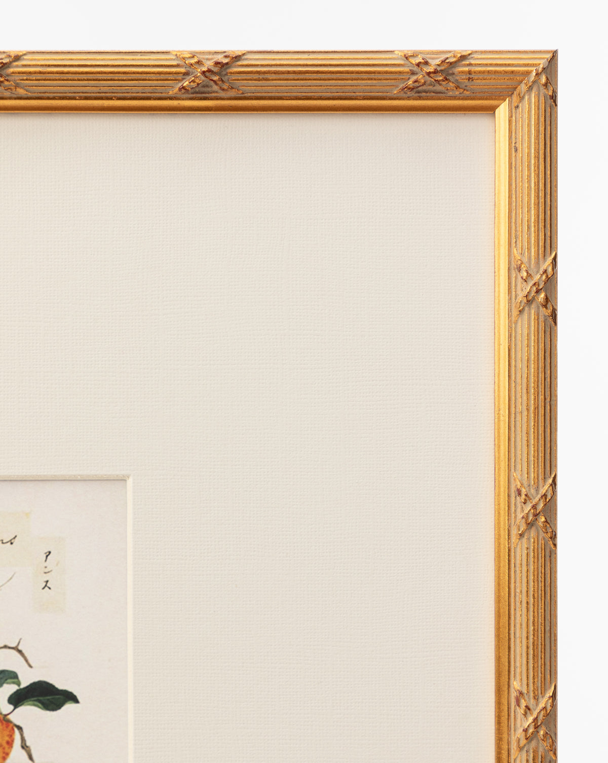 Close-up of a gold frame with a white mat, showcasing the Botanical Grid 1 giclee print featuring text and an illustration of a leaf and orange fruit—an ideal piece of botanical wall art for your space, by McGee & Co.