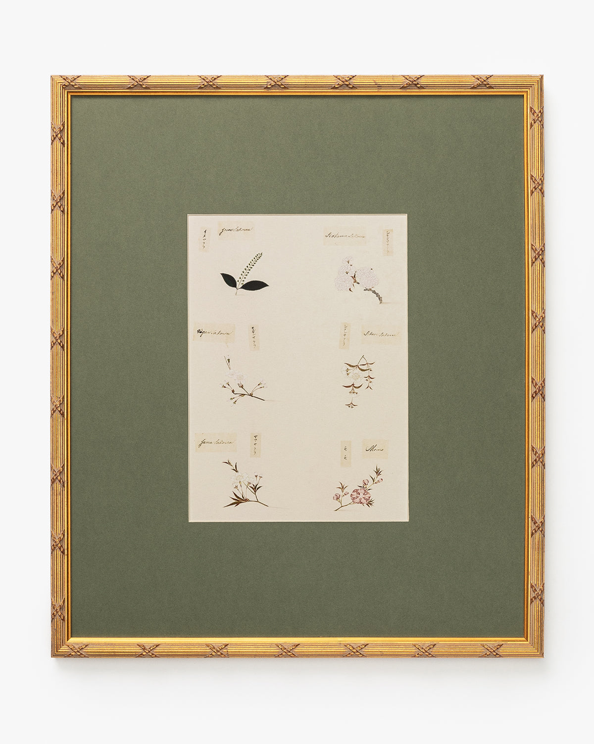 Botanical Grid 2 is a framed botanical giclee print with a green mat and gold wood frame, showcasing small, labeled illustrations of different plants and flowers arranged thoughtfully on a cream background, by McGee & Co.