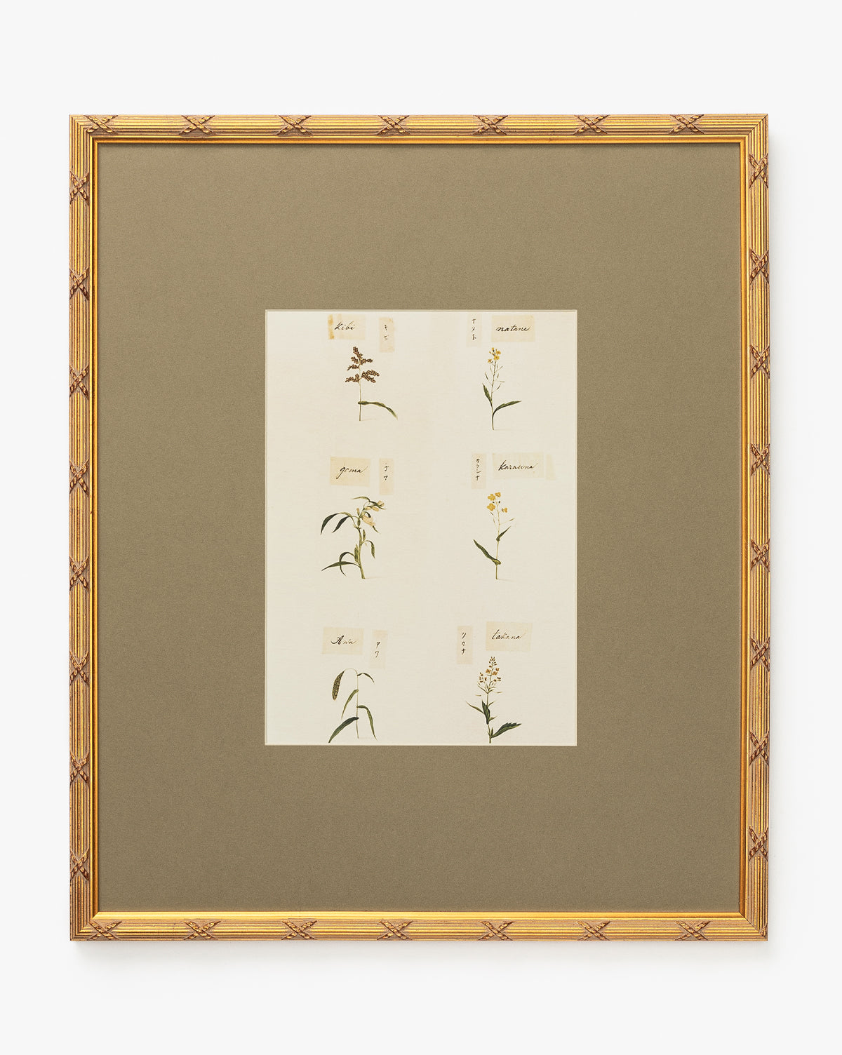 Botanical Grid 3 features six plant giclee prints, each labeled with handwritten names on small paper pieces, set against a beige mat and white background, all encased in a gold frame, by McGee & Co.
