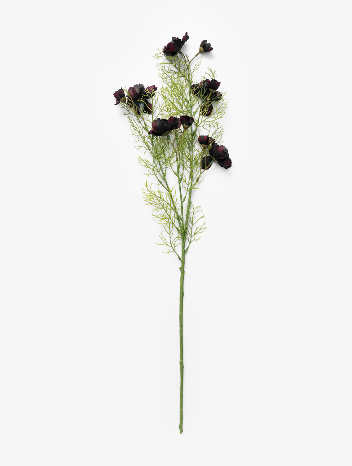 The Burgundy Cosmos Stem features delicate green foliage and multiple dark purple-black flowers, perfect for artificial arrangements or as a bold accent in your home decor, shown against a white background by McGee & Co.