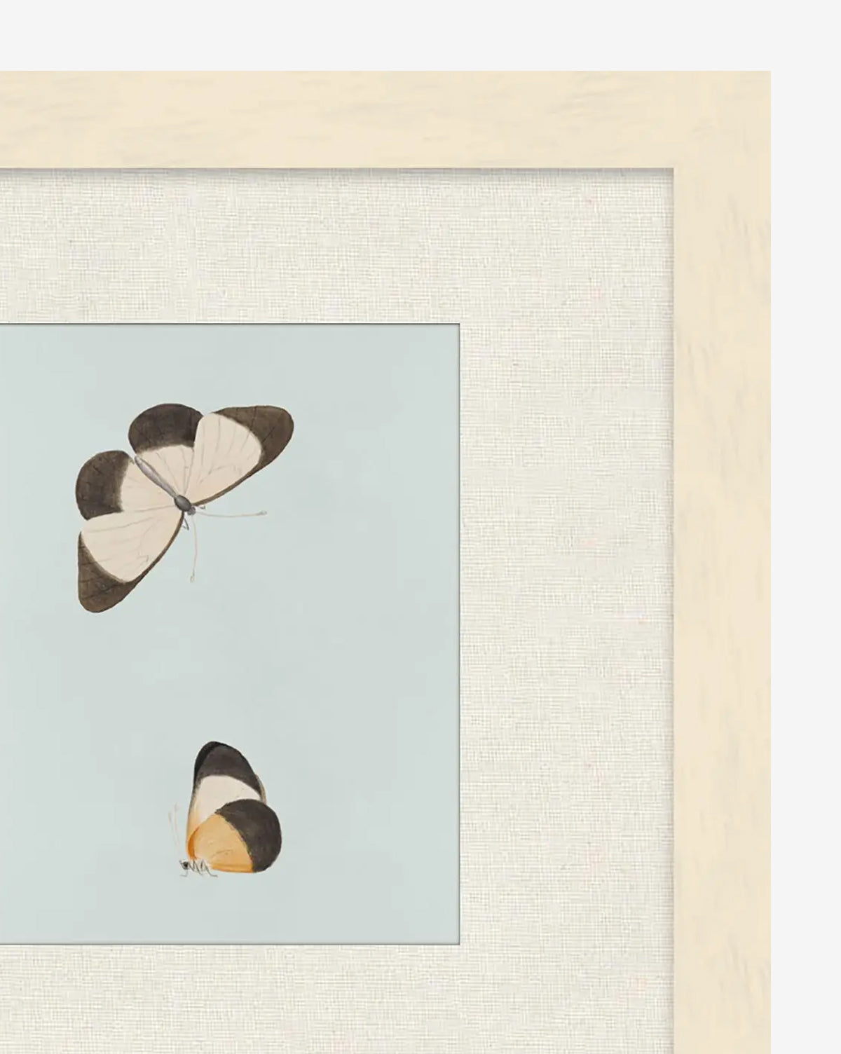 Butterflies Study I features two butterflies with cream, brown, and yellow wings on a light blue background, set in a light mat and wood frame—a charming nature-inspired wall art piece, by McGee & Co.