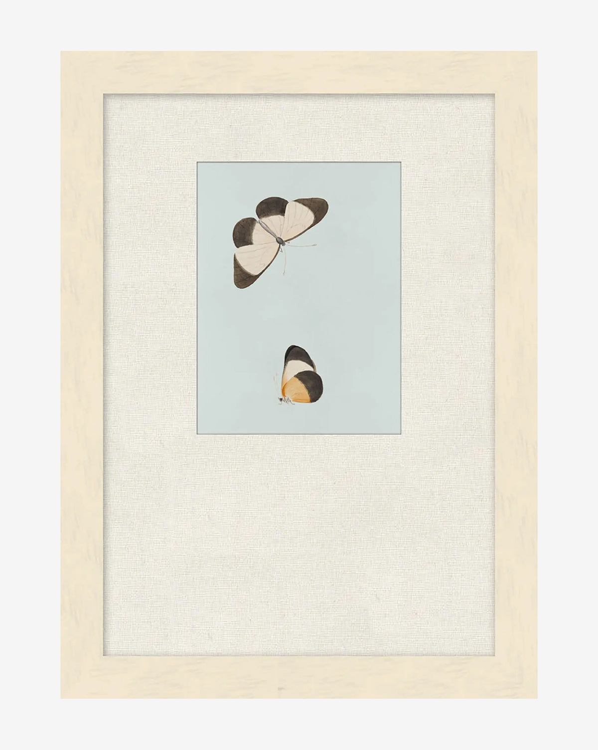 Butterflies Study I is a framed giclée print with two black, white, and yellow butterflies on a light blue background, set in a wide white mat and light wood frame—a beautiful piece of nature-inspired wall art, by McGee & Co.
