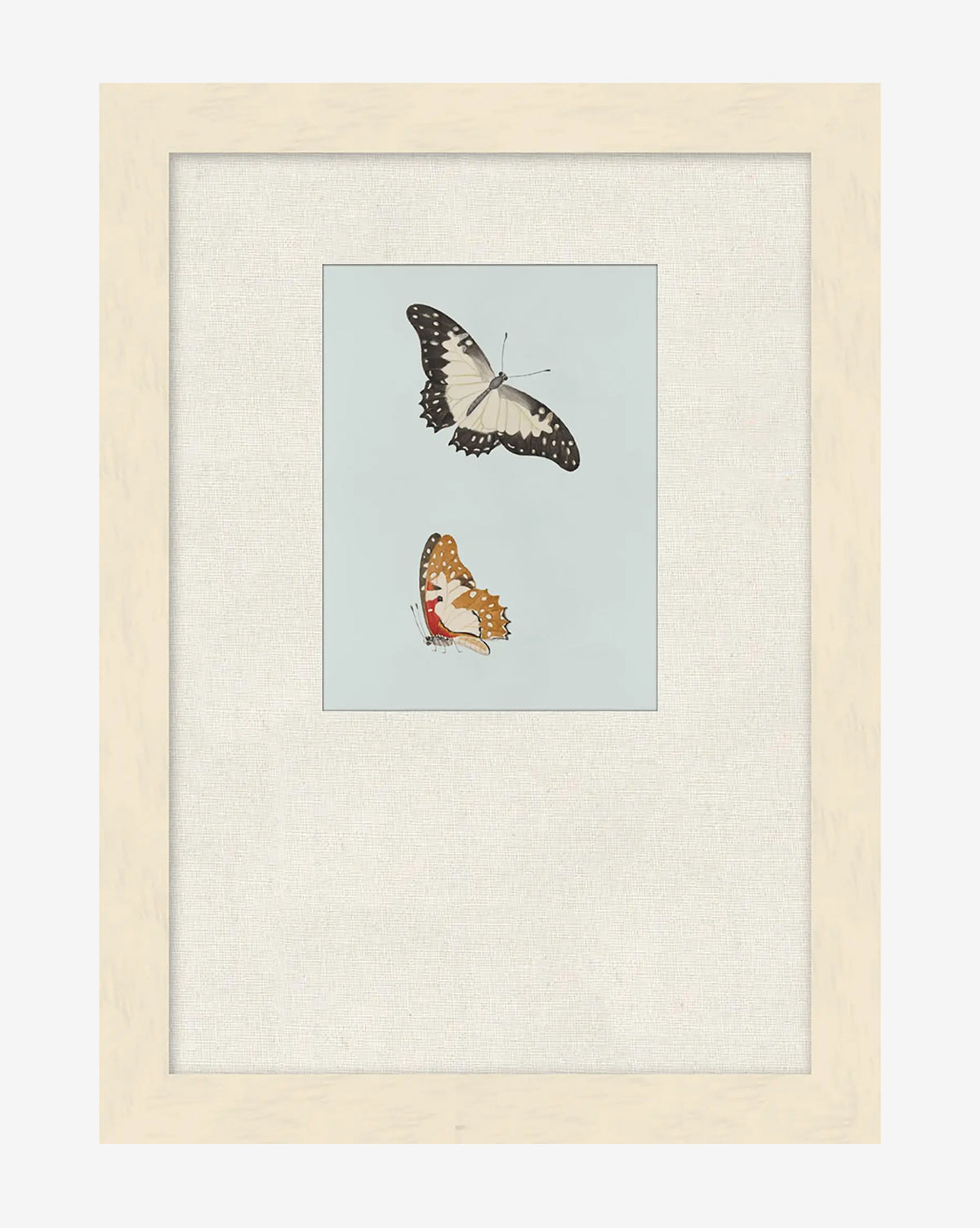 Butterflies Study II is a framed illustration of two butterflies—one black and white, one orange and black—on a light blue background. Ideal as butterfly wall art or a vibrant giclée print to enhance your space, by McGee & Co.