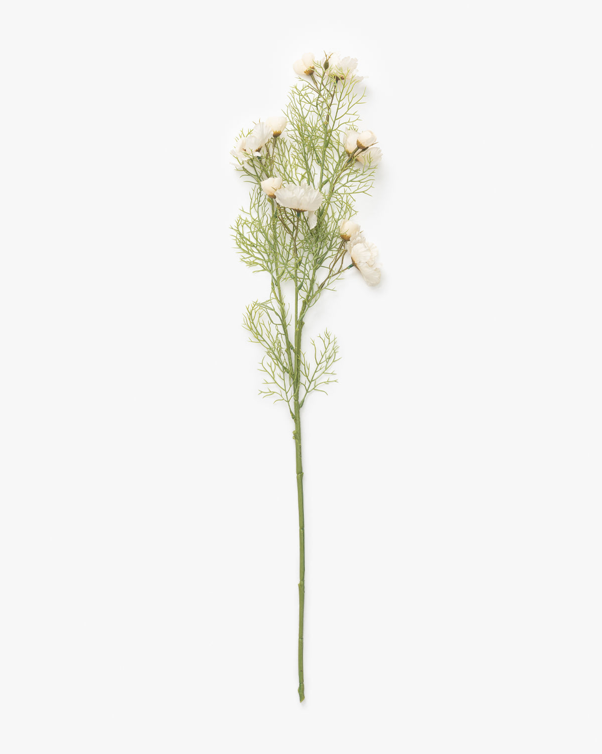 A single faux Cream Cosmos Stem with delicate green foliage, perfect for a vase arrangement and shown isolated on a white background, by McGee & Co.