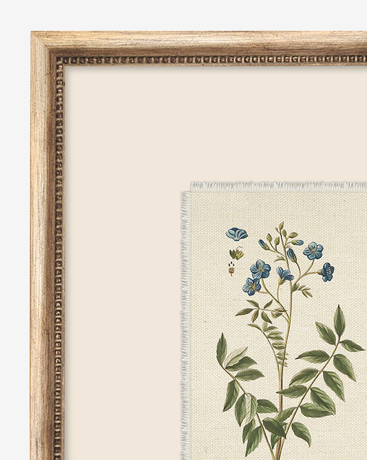 Close-up of the Delicate Floral l giclee print, showing a green plant with blue flowers. Mounted on beige fabric, this botanical illustration is framed in wood with a beaded inner edge.