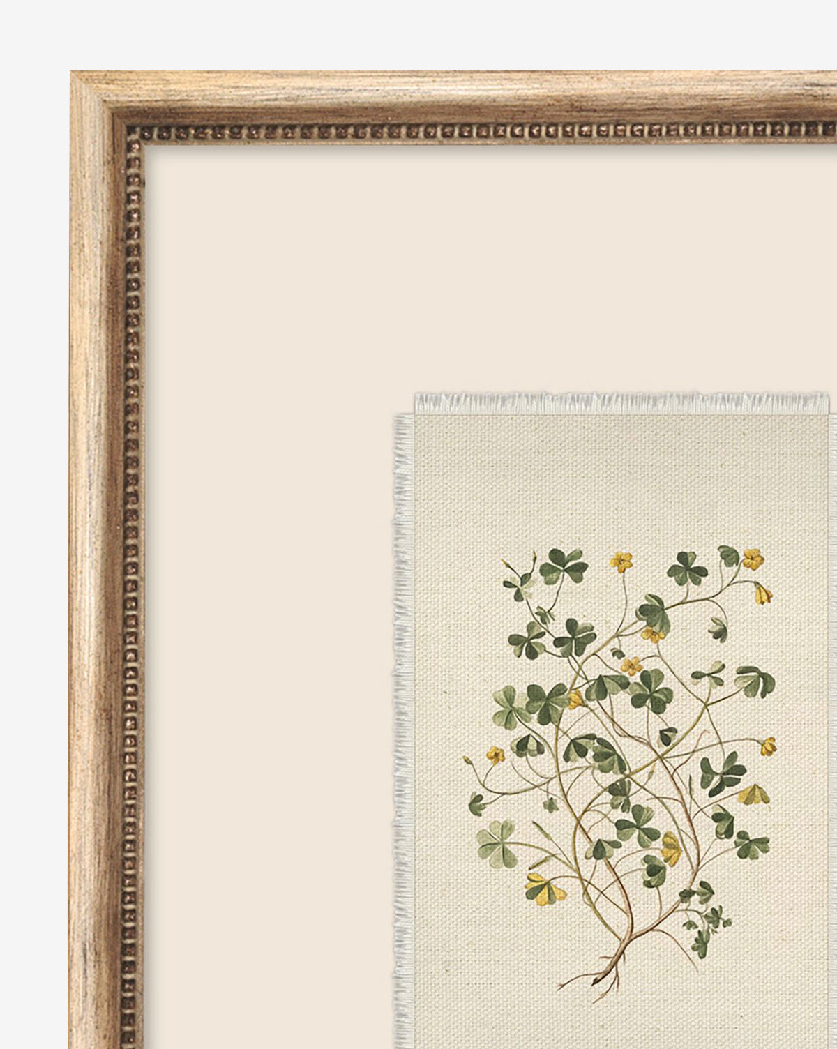 A close-up of the Delicate Floral II giclee print shows a clover plant with green leaves and yellow flowers on textured fabric, set against a beige background in a silver wood frame.