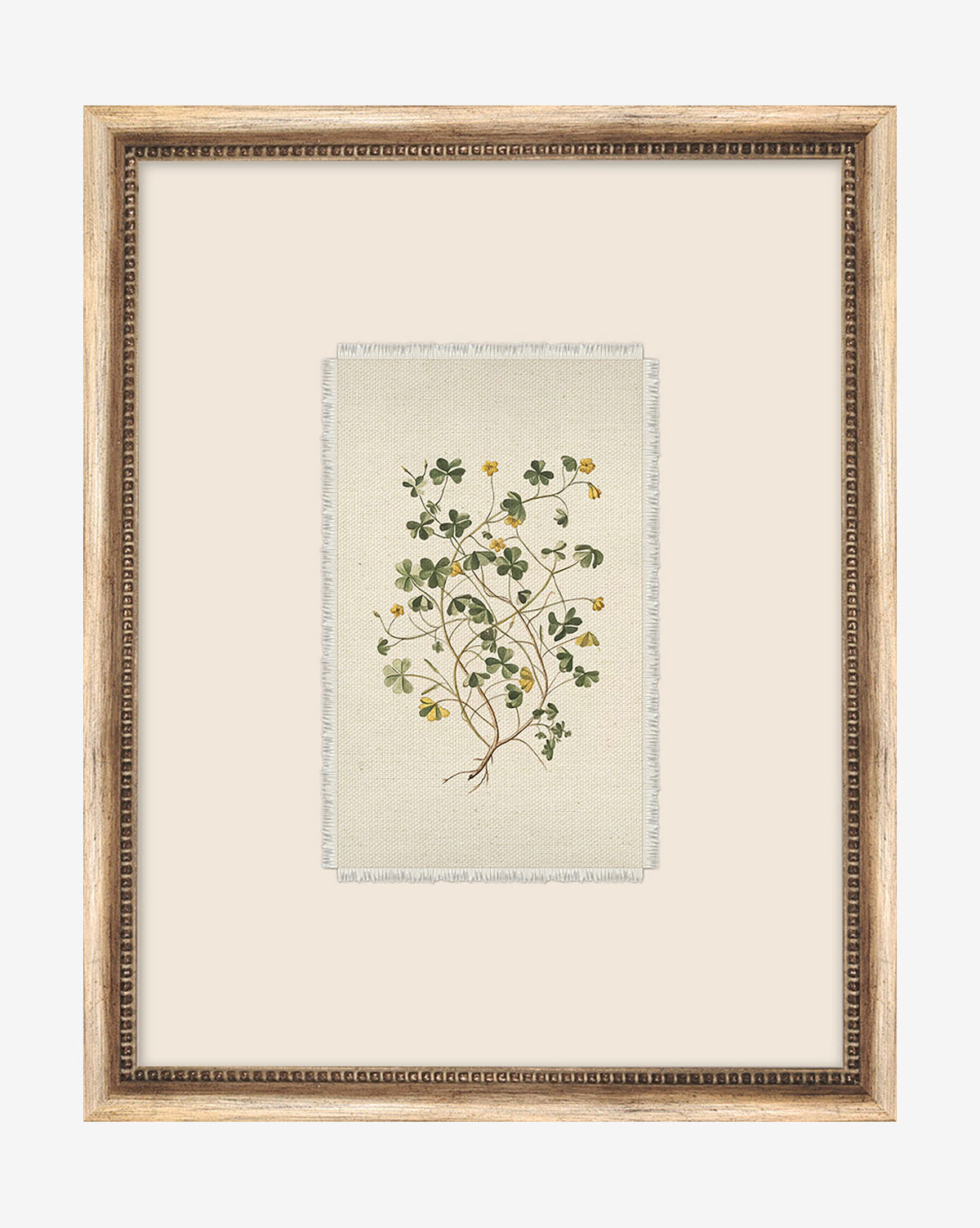 Delicate Floral ll: A framed botanical illustration of a green leafy plant with yellow flowers on a cream background, set in a silver wood frame—perfect floral wall art for any room.