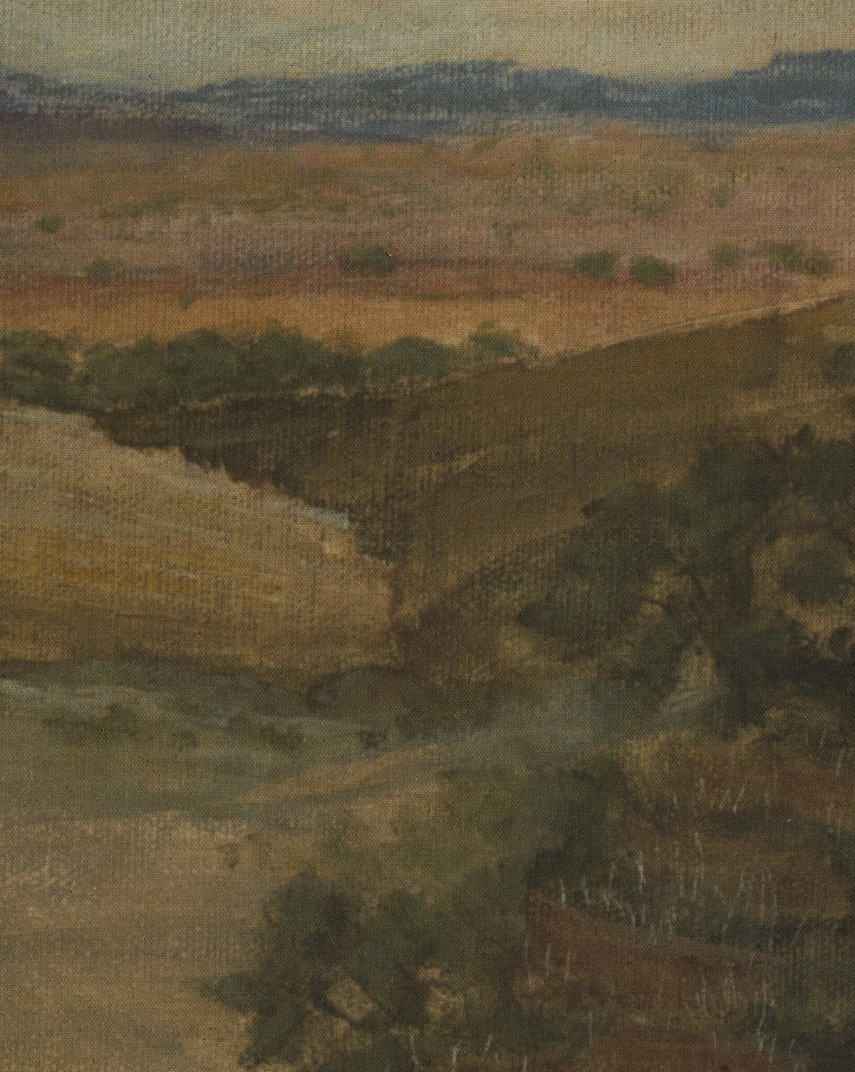 Desert Hues II by Aileen Fitzgerald is a framed landscape on fine art paper, featuring muted browns, greens, and blues depicting dry terrain with scattered trees, a dark diagonal ridge, and distant mountains beneath a cloudy sky, by McGee & Co.