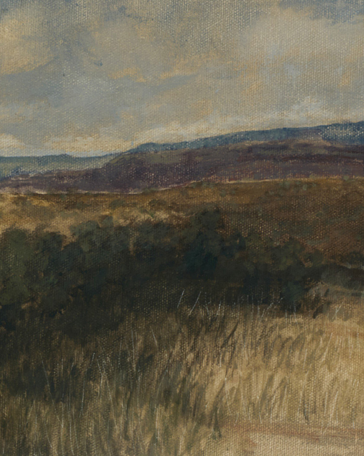 Desert Hues I by Aileen Fitzgerald features grassy fields, dark green shrubs, and rolling hills beneath a cloudy sky, beautifully printed on fine art paper and elegantly framed in white oak, by McGee & Co.