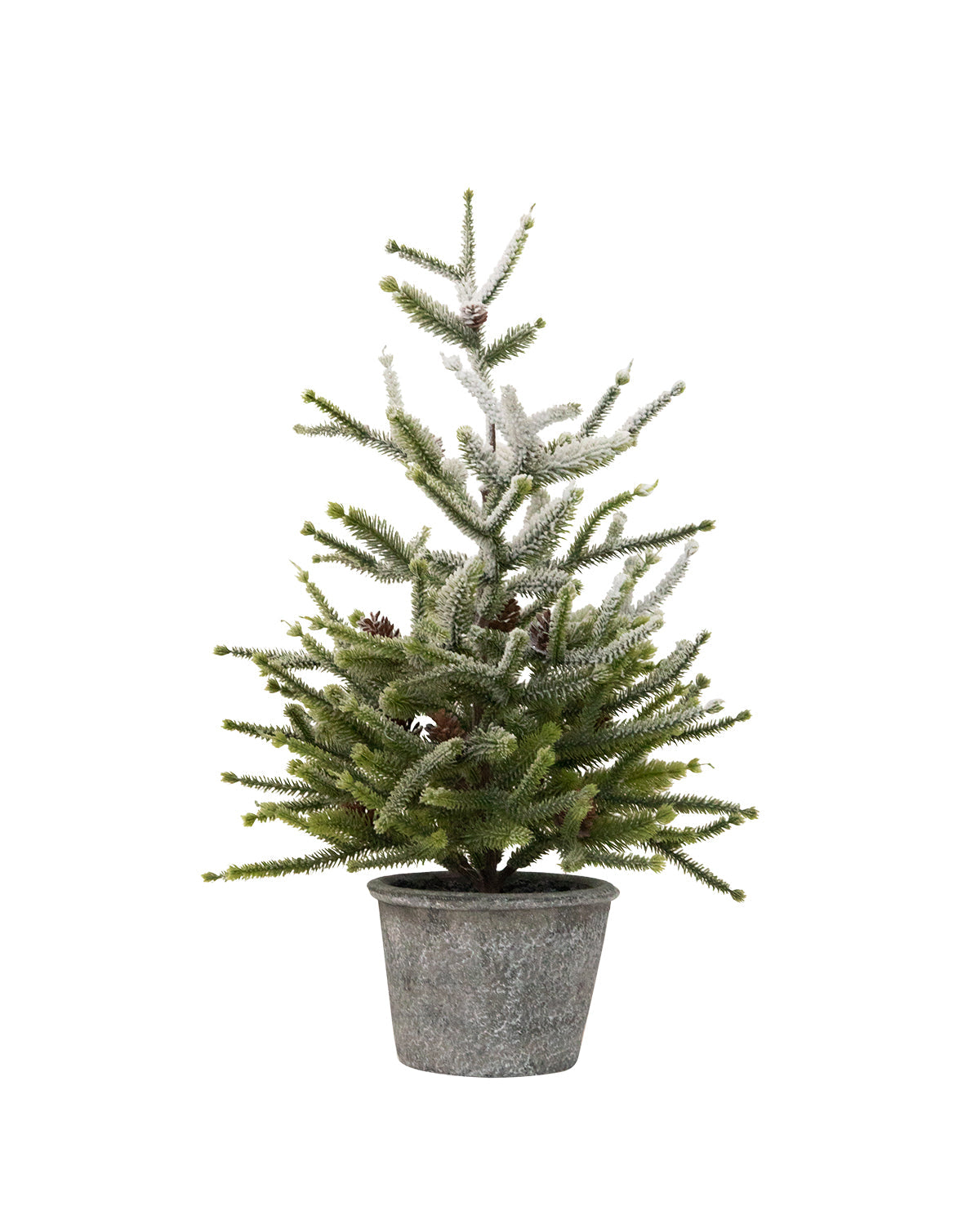 Dusted Pinecone Tree