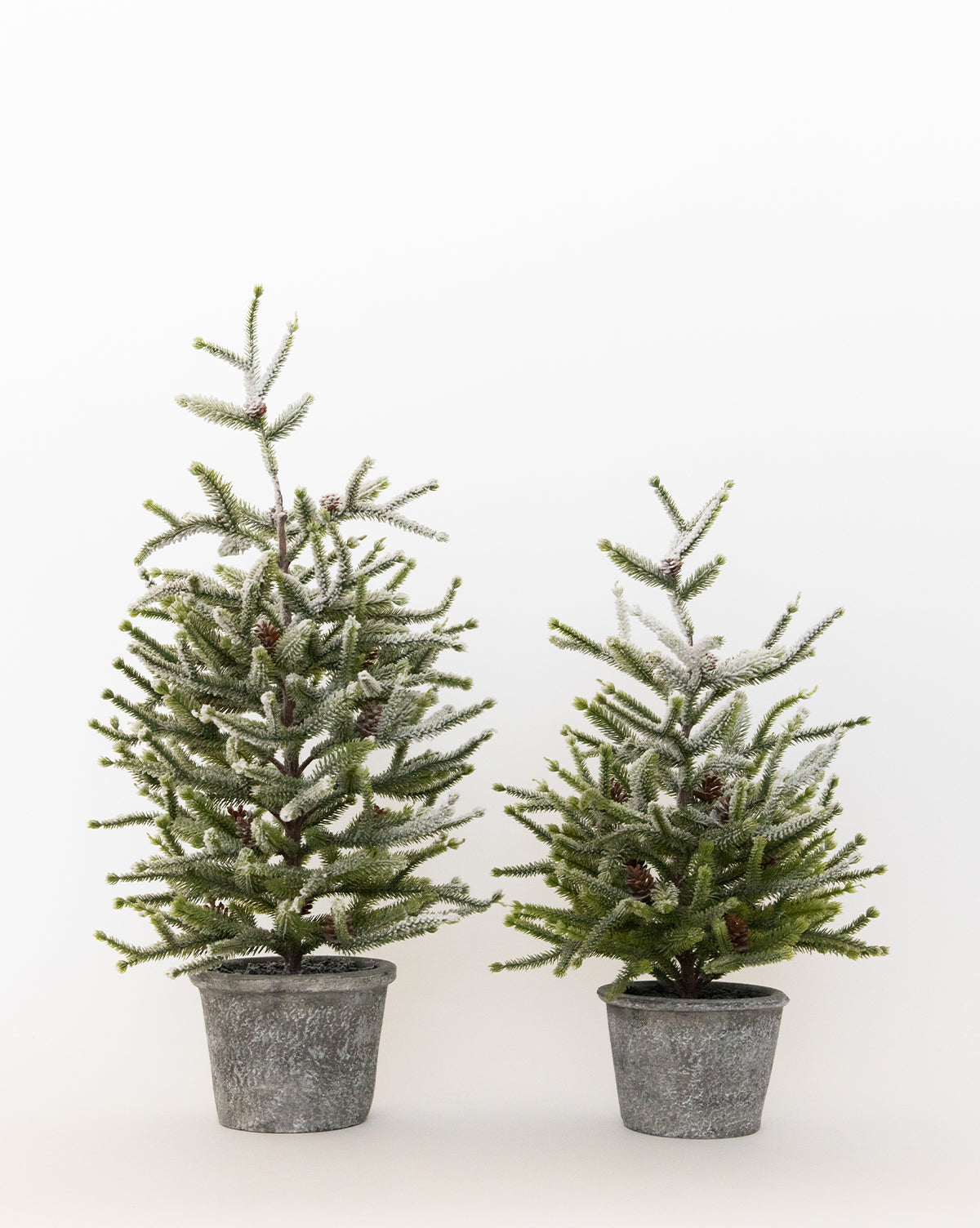 Dusted Pinecone Tree