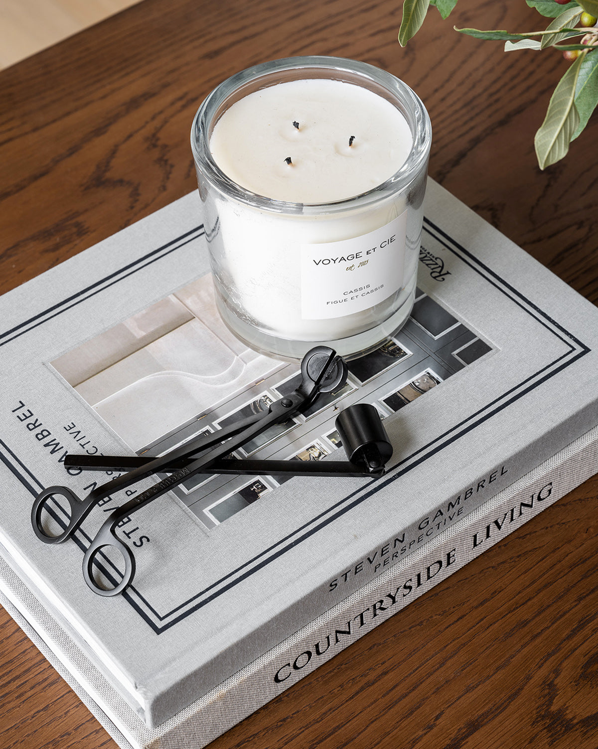 A Wick Trimmer rests near a white candle in a glass jar on two stacked hardcover books atop a wooden table, while plant leaves peek in from the upper right corner.
