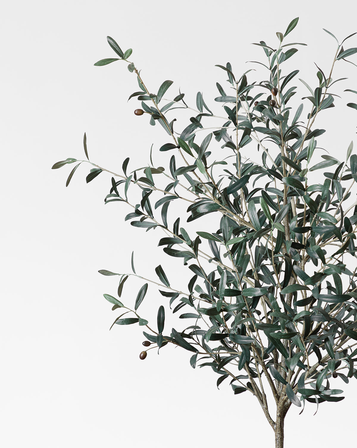 The Faux 72 Olive Tree with Ceramic Pot features slender green leaves and small, dark olives—an elegant indoor decor piece, beautifully arranged in its pot and ideal for brightening any space.
