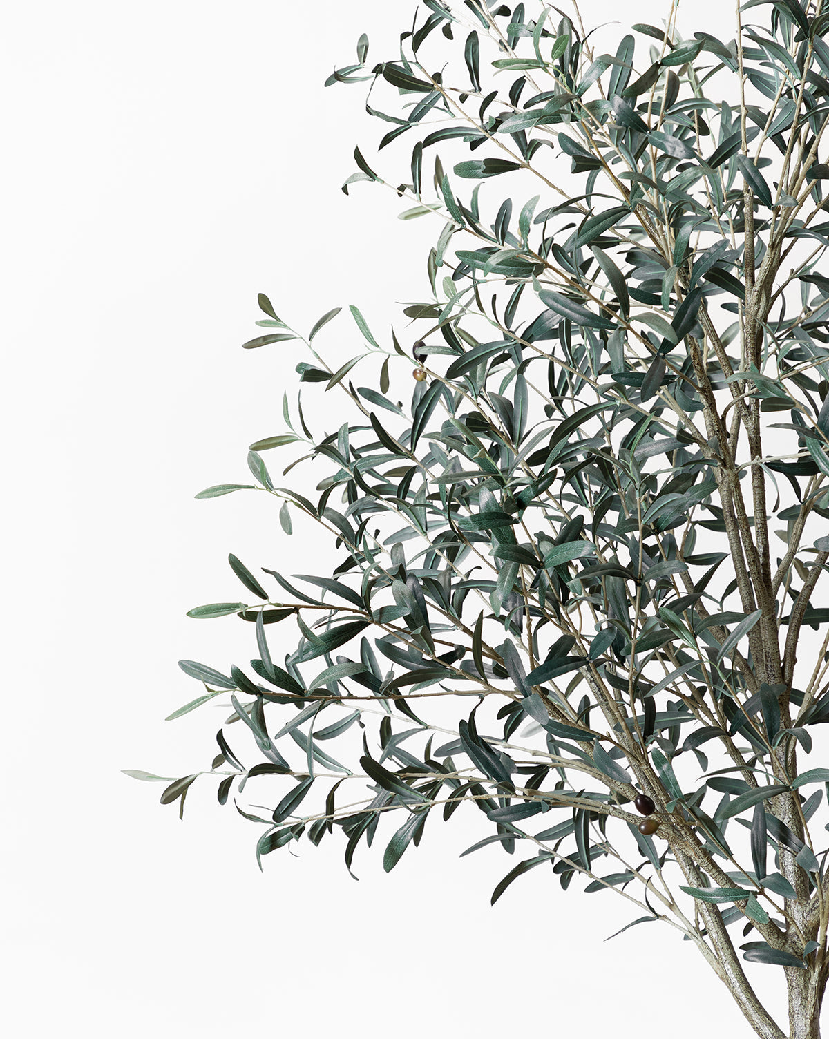 Add charm to your space with the Faux 96 Olive Tree with Woven Pot—featuring slender green leaves and dark olives for a natural look, set against a white background.