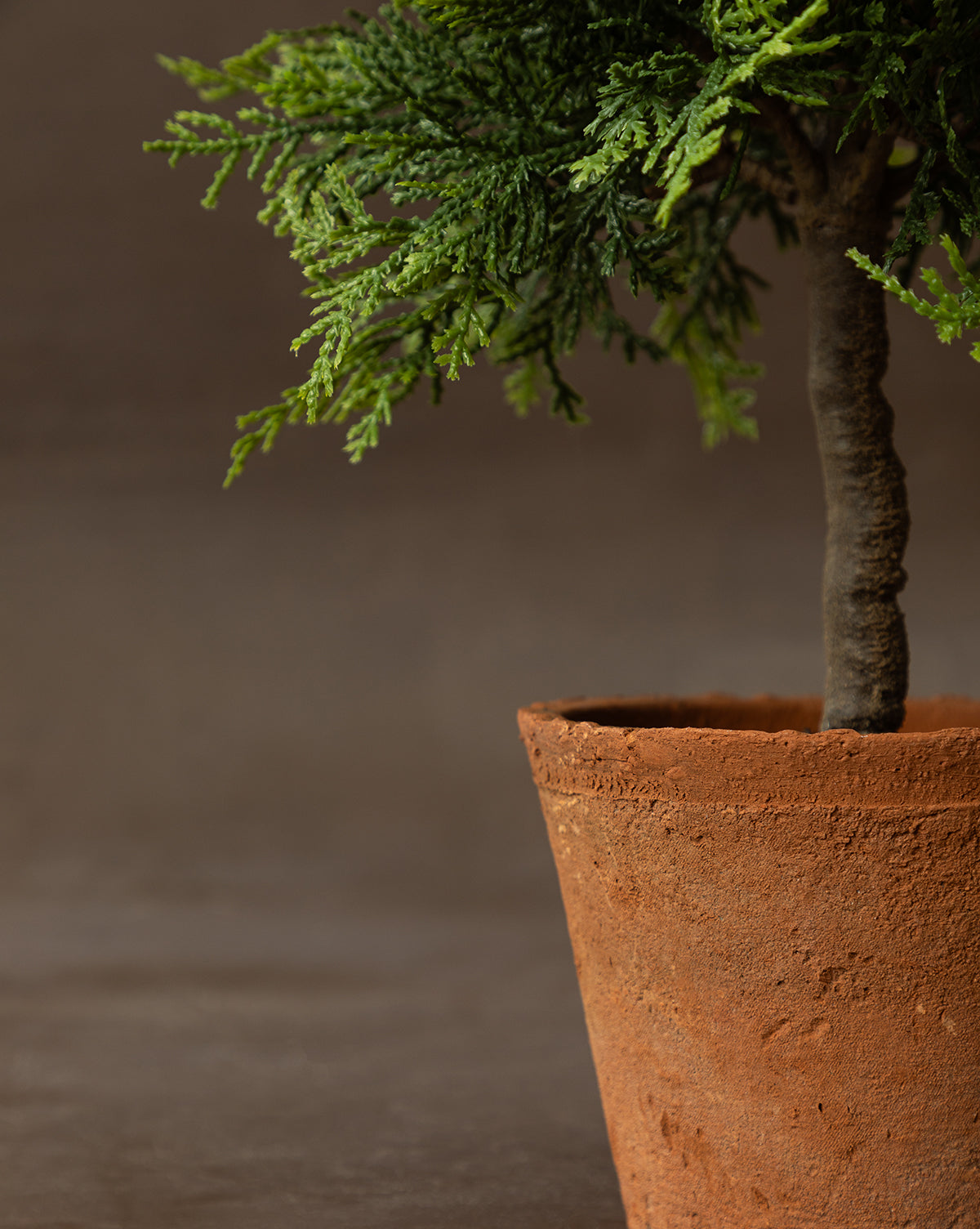 Faux Cypress Potted Topiary