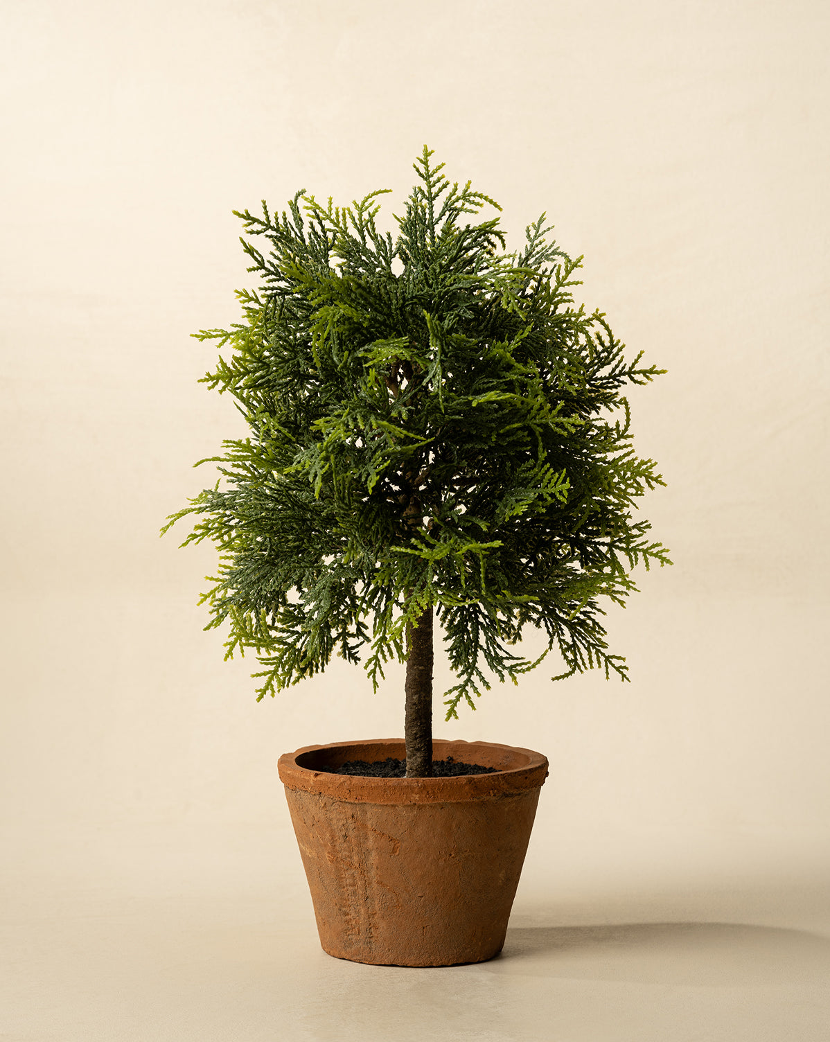 The 15.5" Cypress Faux Potted Topiary features dense, needle-like green foliage in a simple brown terracotta pot, displayed against a plain light background, by McGee & Co.