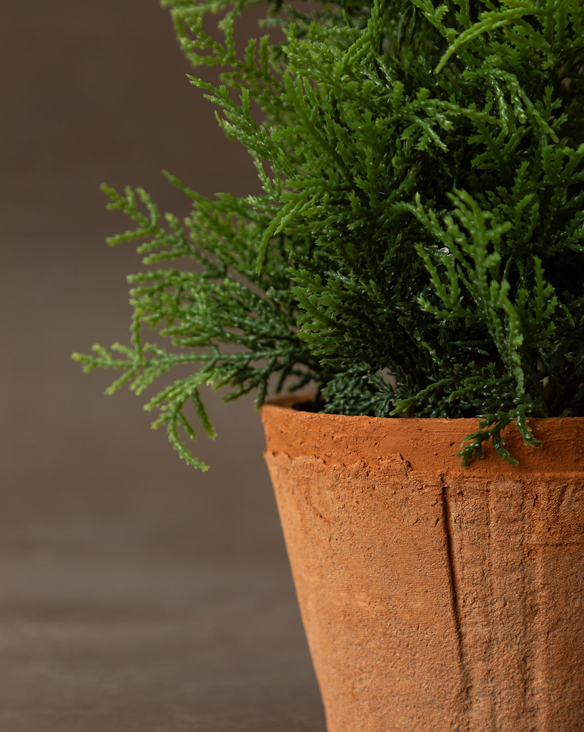 Faux Cypress Potted Tree