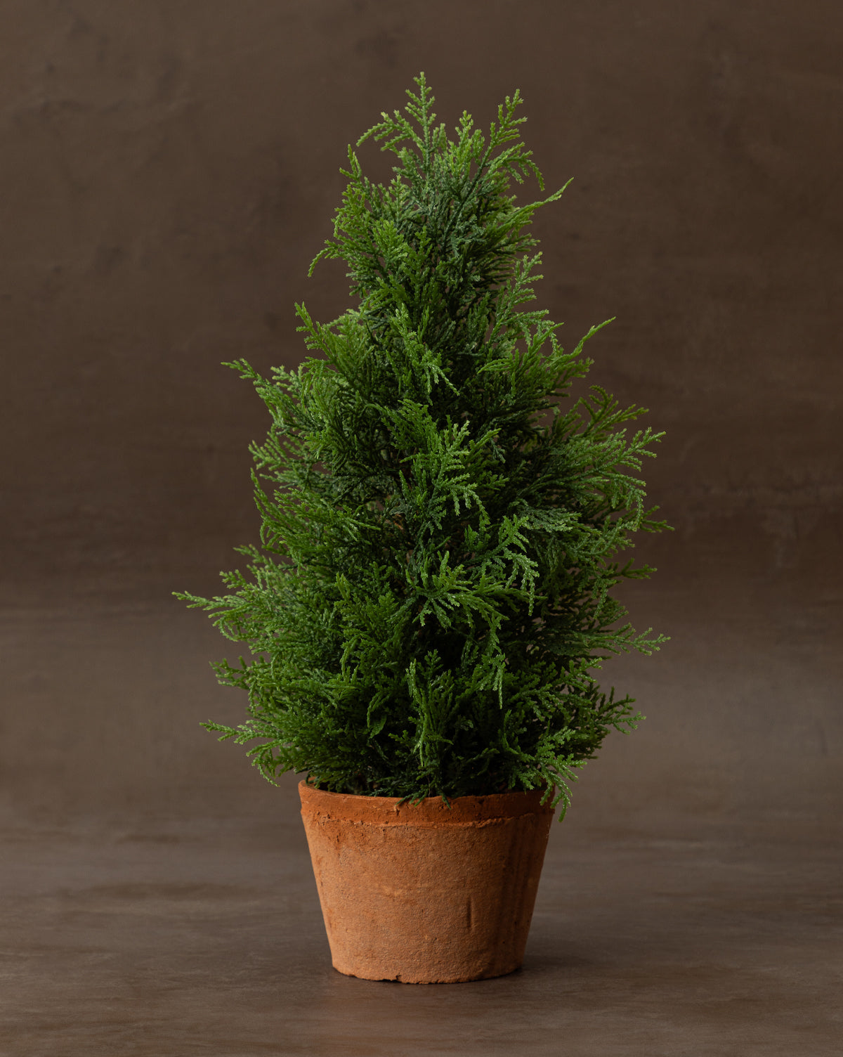 Faux Cypress Potted Tree