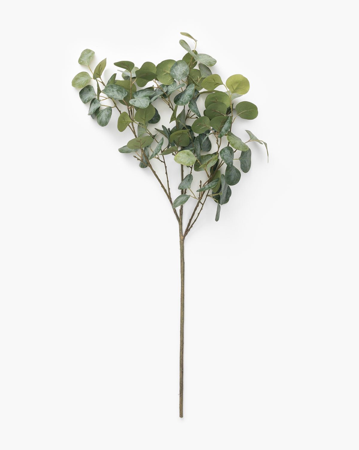 The Faux Eucalyptus Branch features multiple thin stems and round green leaves, ideal for vase arrangements. Displayed against a plain white background, it adds a touch of greenery to any space.