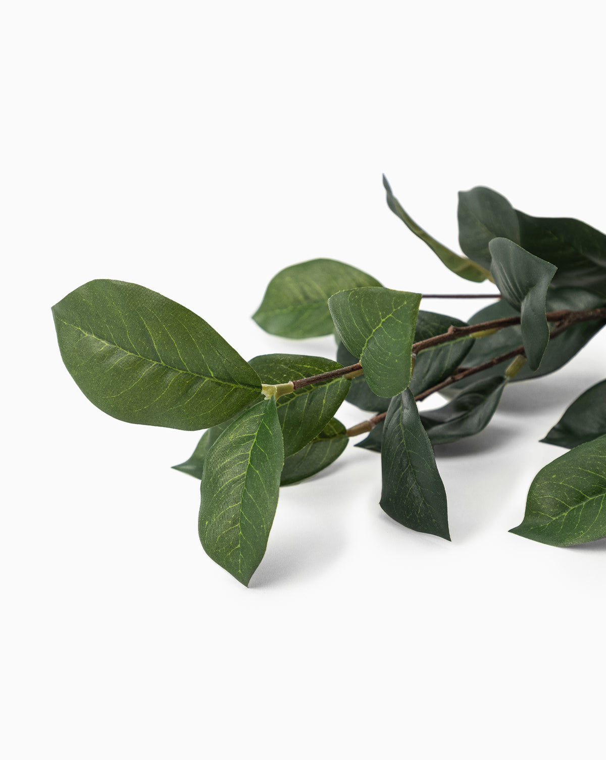 A Faux Gardenia Leaf Stem with multiple green, oval-shaped leaves featuring visible veins rests on a white background, showcasing its natural and healthy look, by McGee & Co.