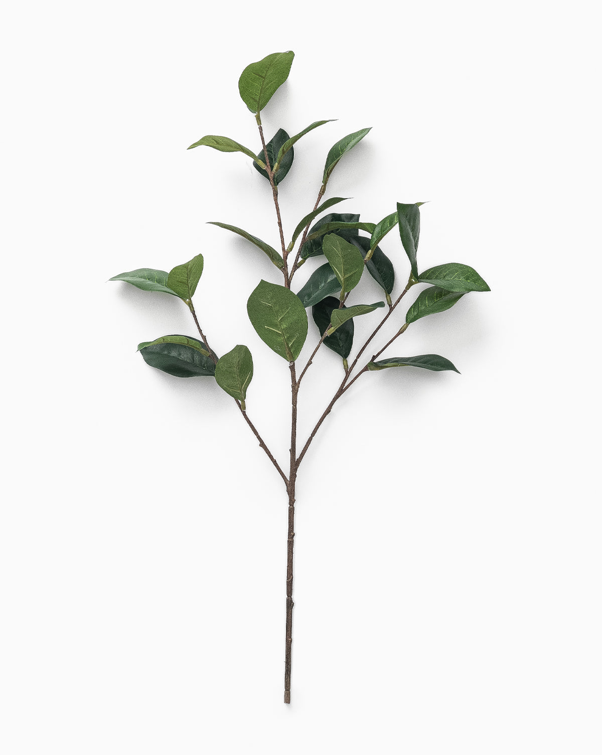 The Faux Gardenia Leaf Stem features multiple green leaves on brown stems, shown against a plain white background, by McGee & Co.