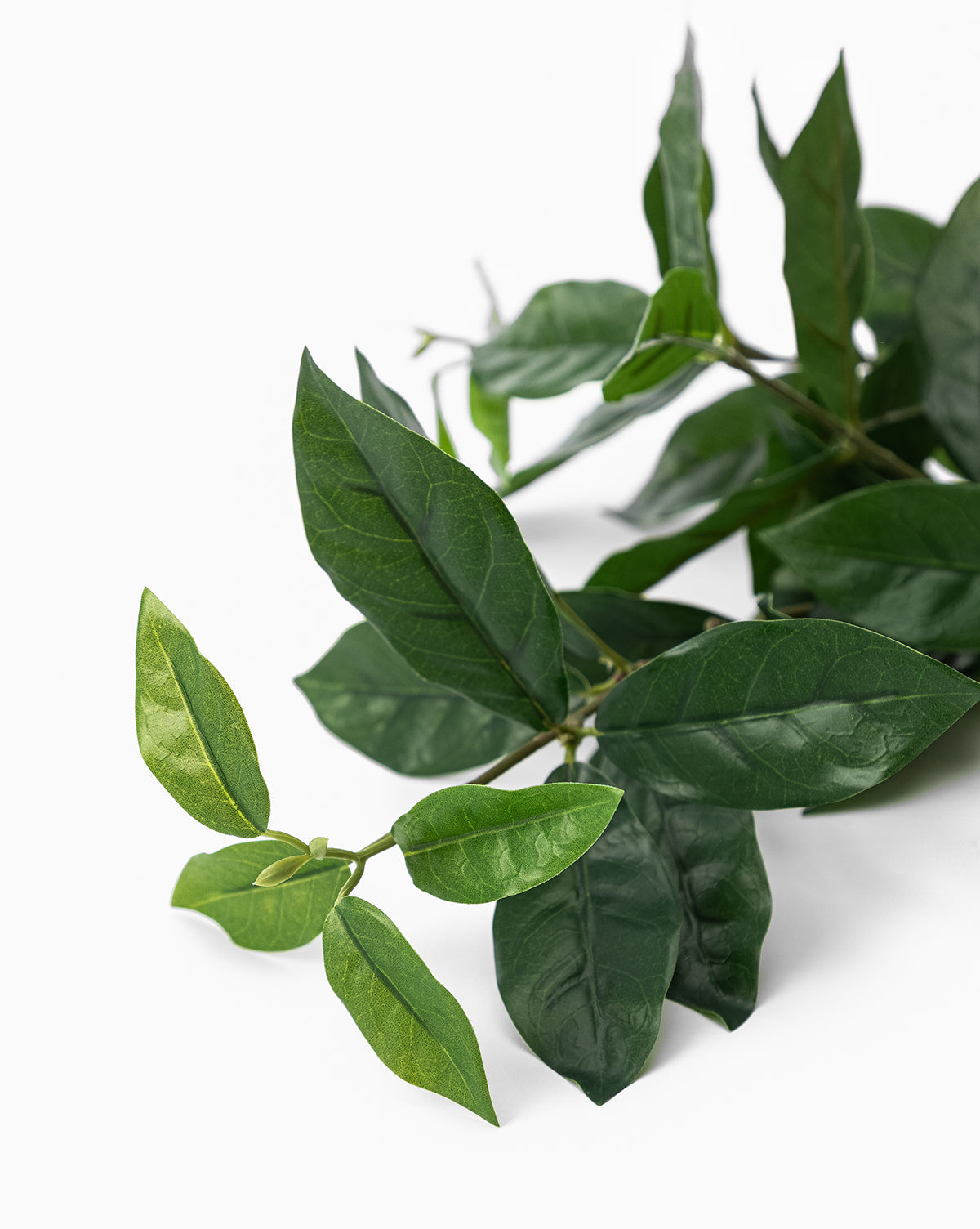 The Faux Laurel Leaf Branch features smooth, pointed leaves and makes an ideal decorative accent or faux stem for any space, shown here against a plain white background, by McGee & Co.