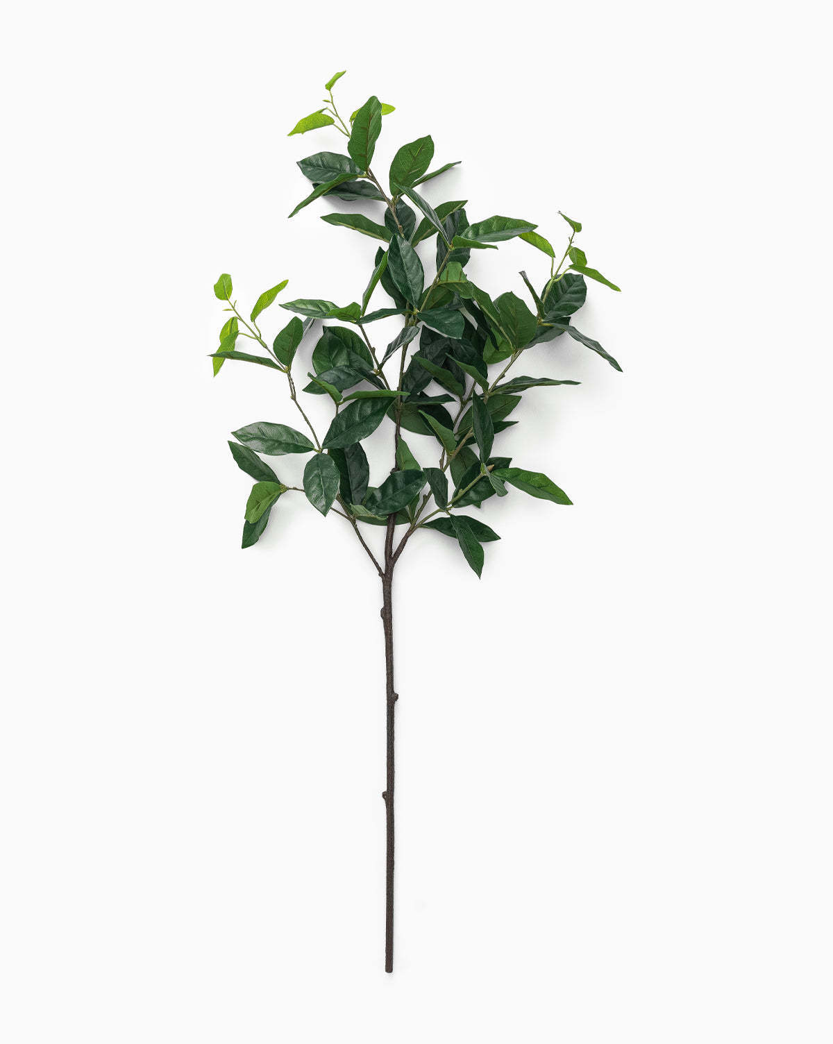 The Faux Laurel Leaf Branch features multiple green leaves on dark brown stems, displayed against a plain white background, by McGee & Co.