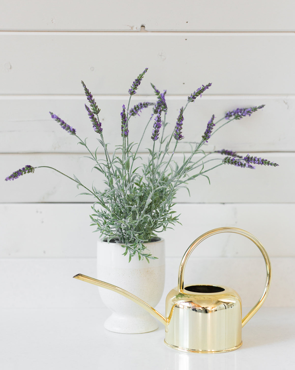 Gold Watering Can