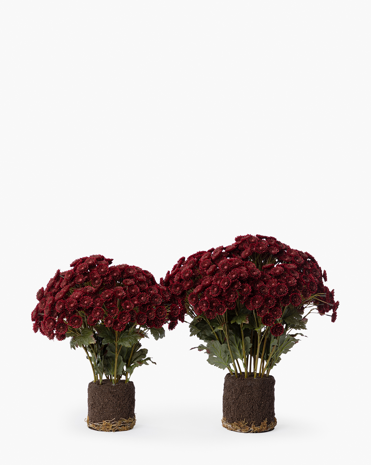 Two Faux Mum Drop-In potted plants with deep red chrysanthemum blooms and green leaves, showcasing lifelike flowers, exposed soil, and roots—ideal for seasonal decor against a white background, by McGee & Co.