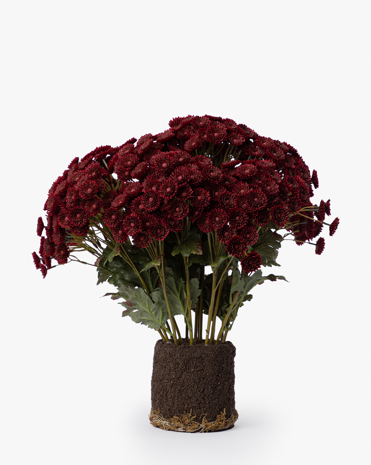 The Faux Mum Drop-In features lifelike deep red blooms and green leaves, displayed upright with exposed roots and soil, making striking seasonal decor against a plain white background, by McGee & Co.
