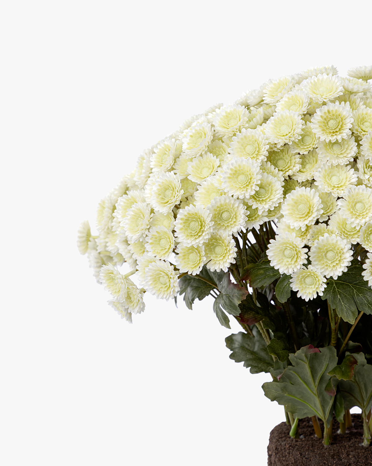 The Faux Mum Drop-In features lifelike pale yellow chrysanthemum blooms with green leaves and visible roots, set against a plain white background, by McGee & Co.