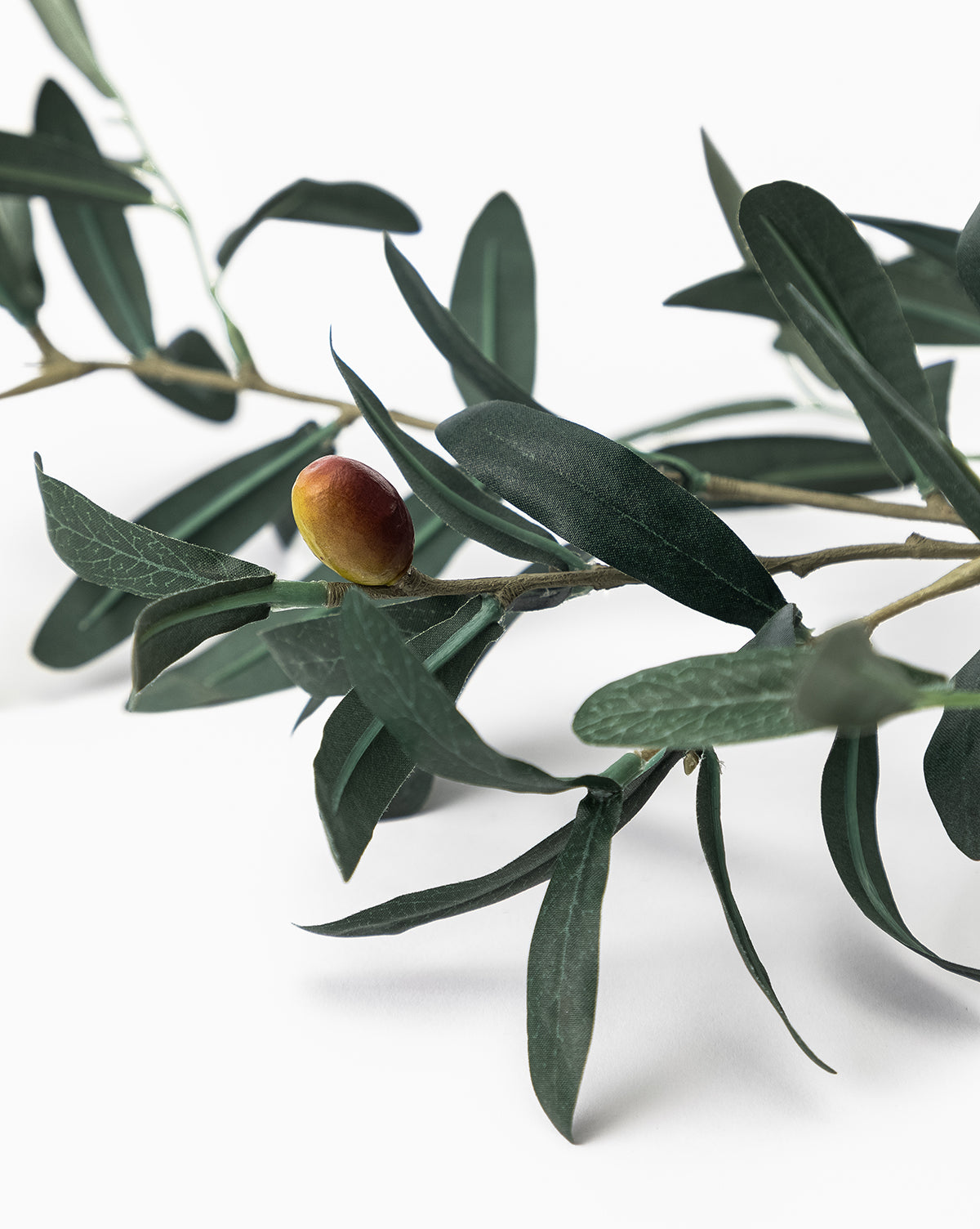 A close-up of the Faux Olive Branch, featuring dark green leaves and a single ripe olive against a white background—ideal for olive branch decor, by McGee & Co.