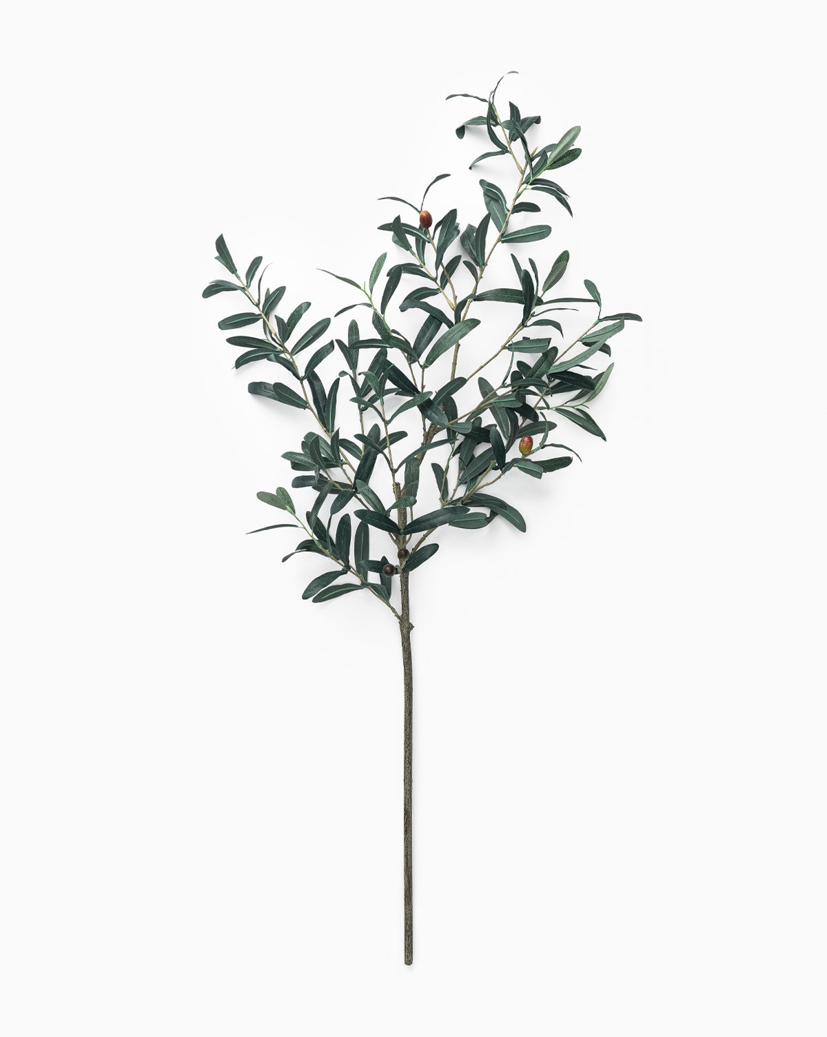 The Faux Olive Branch features green leaves and a few small olives, perfect for olive branch decor, displayed on a white background, by McGee & Co.