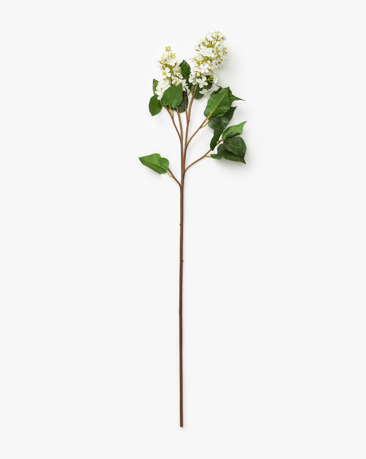 The Faux White Lilac Stem features green leaves and clusters of small white blooms, beautifully crafted as an artificial plant and shown against a plain white background.