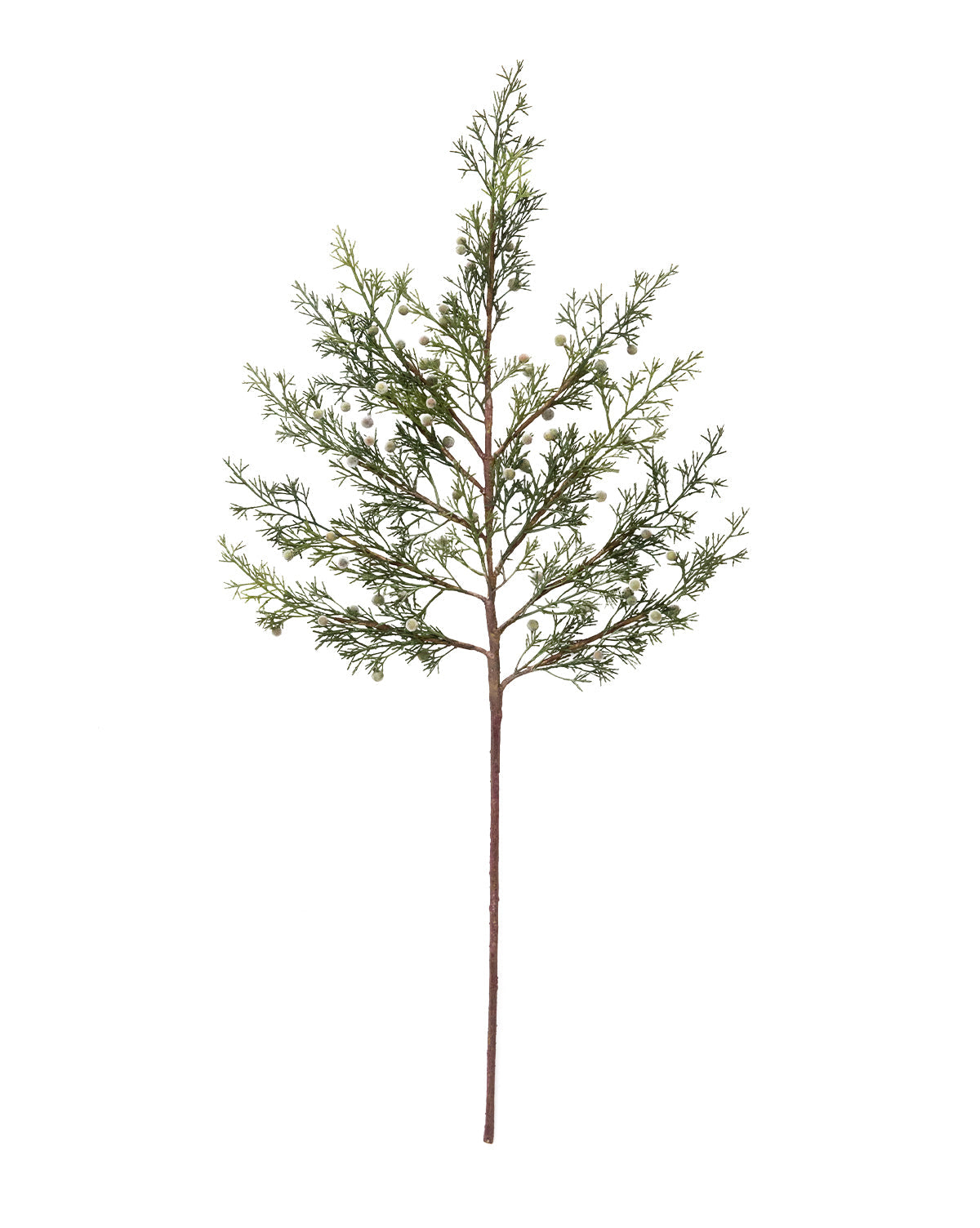 Faux Cypress Branch