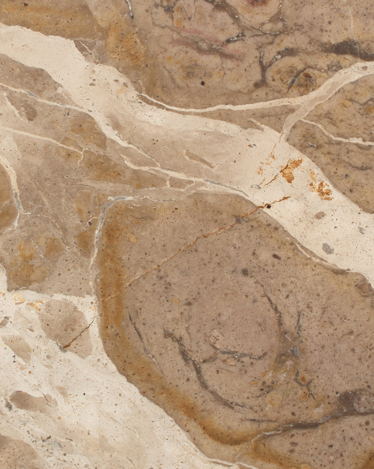 Close-up of a textured beige and brown marble surface with swirling patterns and veins—details that capture the organic beauty featured in the Fossil Marble End Table, by McGee & Co.