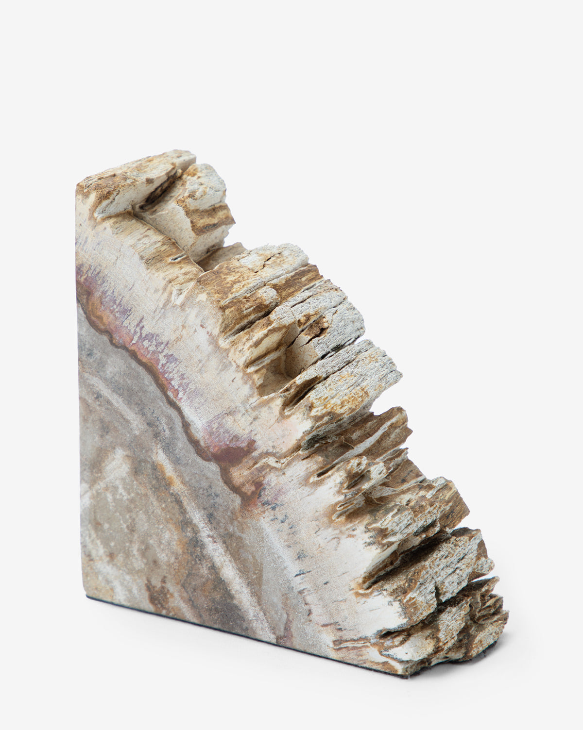 A set of two Fossilized Wood Bookends featuring triangular shapes with jagged tops, smooth sides, and natural brown, beige, and gray tones—ideal as organic decor against a plain white background.