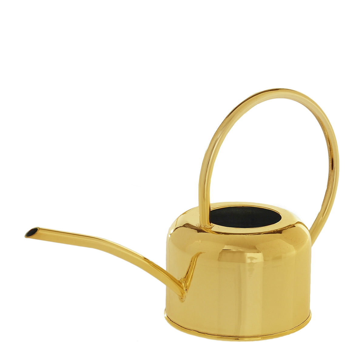 Gold Watering Can